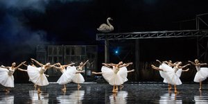 Λίμνη των Κύκνων