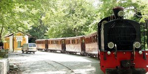 Ο «Μουτζούρης» καταρρίπτει ρεκόρ/ Φωτογραφία: ΑΠΕ ΜΠΕ/ΔΗΜΟΣ ΜΗΛΕΩΝ ΠΗΛΙΟΥ