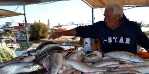 Ψάρια/Φωτογραφία: Eurokinissi