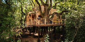 «Woodman's Treehouse»