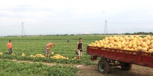 Παραγωγοί/Φωτογραφία: Eurokinissi