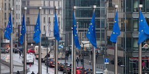 FT: Η ΕΕ σχεδιάζει σύστημα προειδοποίησης για fake news ενόψει ευρωεκλογών (Φωτογραφία: AP Photo/Virginia Mayo)