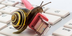 Φωτογραφία: Shutterstock