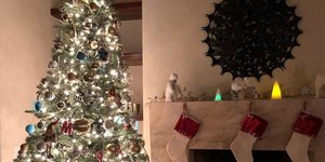 Το απλό αλλά ωραίο χριστουγεννιάτικο δέντρο της Αλέκας Καμηλά