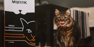 Νέα σειρά γατοτροφής από την Mojestik