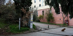Φωτογραφία: EUROKINISSI