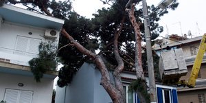 Δέντρο έπεσε σε σπίτι στο Μαρούσι (Φωτο: Eurokinissi)