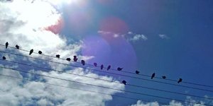 Φωτογραφία Eurokinissi