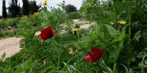 Με ήλιο μπαίνει η άνοιξη (Φωτογραφία: Eurokinissi-ΠΑΠΑΔΟΠΟΥΛΟΣ ΒΑΣΙΛΗΣ)