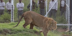 Εικόνα αρχείου / Φωτογραφία: AP Images