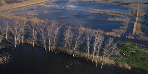 λιμνοθάλασσα Μεσολογγίου/Φωτογραφία: Eurokinissi