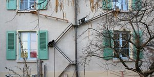 Σκάλες για γάτες
