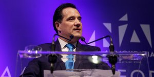 Ο αντιπρόεδρος της ΝΔ Αδωνις Γεωργιάδης / Φωτογραφία: EUROKINISSI