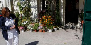 Στην εισαγγελία έστειλε ο δήμος Αθηναίων τον φάκελο των καταγγελιών για αδιαφανή διαχείριση στο Άσυλο Ανιάτων (Φωτο: Eurokinissi)