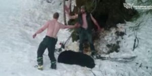 Οι δύο ασυνείδητοι πανηγύριζαν στη συνέχεια για το... κατόρθωμά τους (Φωτογραφία: The Humane Society/YouTube)