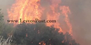 100 στρέμματα κάηκαν στη Λέσβο/ Φωτογραφία: lesvospost