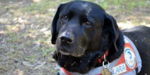 Πέθανε η Λάρα