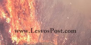 Φωτιά στην Λέσβο/ Φωτογραφία: lesvospost.com