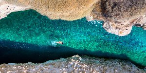 Παπαφράγκας /Φωτογραφία: Shutterstock