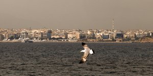 Αφρικανική σκόνη θαλασσα γλάρος