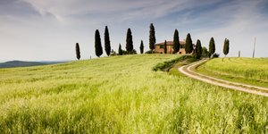 Φάρμα στην Τοσκάνη 