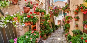 Πλακόστρωτος δρόμος με λουλούδια στην ιταλία