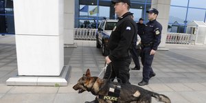 Αστυνομία στο αεροδρόμιο με σκύλο 