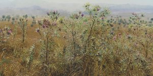 Πίνακας με θάμνους 