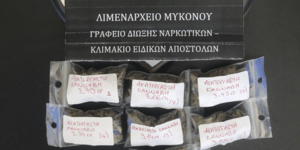 Τα ναρκωτικά που κατασχέθηκαν από τις Αρχές