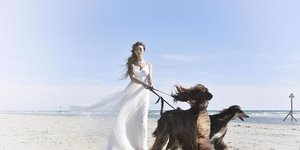 Νύφη με σκυλιά στην παραλία