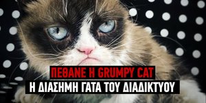 Πέθανε η πιο άσχημη γάτα