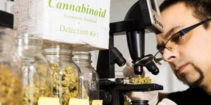 Ο δοκιμαστής κάνναβης Χοσέ Ντομίνγκες