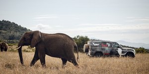 Land Rover Defender: Σκληρές δοκιμές στην Κένυα