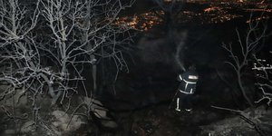 Πυροσβέστης σβήνει φωτιά σε δάσος
