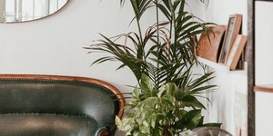 Καθιστικό διαμερίσματος με δερμάτινο καναπέ, φυτό, ανεμιστήρα, φωτιστικό, ράφια