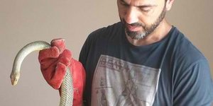 Τρεις κλήσεις για φίδια πραγματοποιήθηκαν στην πόλη της Θεσσαλονίκης
