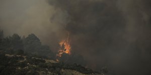 Φωτιά σε ελαιώνα 