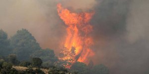 Φωτιά στο δάσος Ντραγουντέλι, στη Χαλκιδική