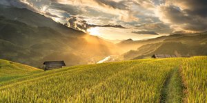 καλλιέργεια σπίτι στο βάθος συννεφιασμένος ουρανός