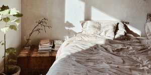 Κρεβατοκάμαρα διαμερίσματος με καλάθι, φυτό, κομοδίνο, βιβλία