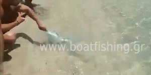 Η στιγμή που ο λαγοκέφαλος δαγκώνει τον λουόμενο σε παραλία της Καρπάθου