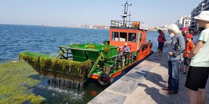 Καθαρισμός του Θερμαϊκού Κόλπου