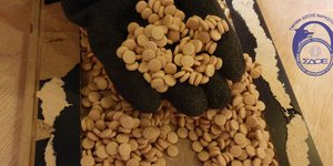 Χάπια κάπταγκον πειραιάς