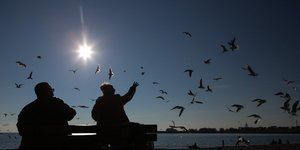 Ζευγάρι στην παραλία της Θεσσαλονίκης ταΐζει περιστέρια