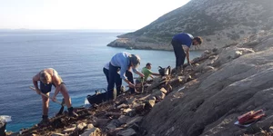 Ανασκαφή 