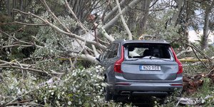 Η κακοκαιρία στη Χαλκιδική έριξε δέντρα και προκάλεσε ζημιές σε αυτοκίνητα