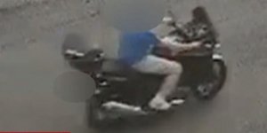 δολοφόνος περιστέρι