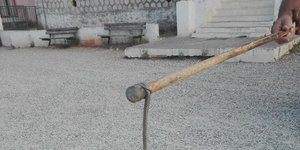 Το φίδι που εμφανίστηκε στο προαύλιο εκλογικού τμήματος