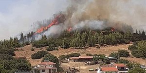 Φωτιά σε δασική έκταση