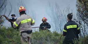Πυροσβεστικές δυνάμεις